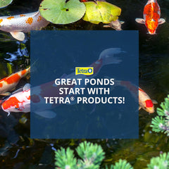 TetraFauna ReptoGuard Turtle Health Conditioner, Slow-Release