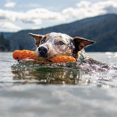 Playology Hound2O Outdoor Dog Toy for Water Adventures Bright Floating Rope Bumper for Throwing and Retrieving | Durable Toy Made from Non-Toxic Materials