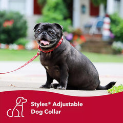Coastal Pet Styles Adjustable Dog Collar - Stylish Patterned Fabrics - Snap-Lock Buckle - Adjustable Dog Collar - For Small, Medium or Large Dogs - Special Paws