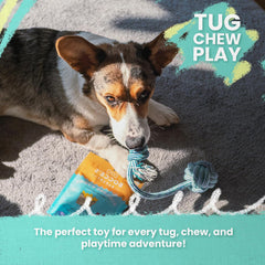 Snugarooz Feel'N Knotty Cotton Rope Dog Toy – Braided Design for Tug of War - Perfect for Large Breeds to Stay Active - Engaged and Entertained