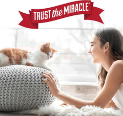 Natures Miracle Advanced Catnip Training Spray with Real Catnip Oil Attracts Cats and Encourages Positive Behavior, 8 Ounces