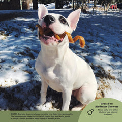 Redbarn Odor Free Bully Springs for Dogs 1 ea