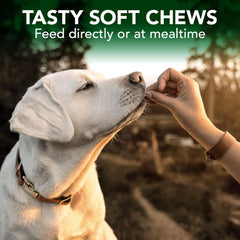 HERO PET Vet's Best Seasonal Allergy Soft Chews for Dogs, Anti Itch For Dogs, Pet Allergy Chews, Dog Allergy Chews Natural Allergy & Immune Support Supplement with Probiotics and Antioxidants (30 Soft Chews)