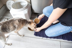 Gamma2 Vittles Vault Dog Food Storage Container with Airtight Lid, holds up to 25-30 Pounds of Dry Pet Food, Cat Kibble and Bird Feed, BPA Free, Made in USA