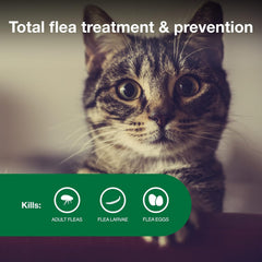 Elanco Advantage Cat Vet-Recommended Flea Treatment & Prevention | 6-Month Supply