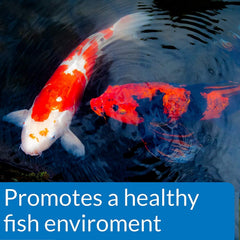 API Pondcare Ecofix Bacterial Pond Cleaner