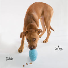 Nylabone Eggi Interactive Fillable Dog Chew Toy - Lightweight Bouncy Floatable Dog Treat Toy for Creative Play & Dog Exercise, Blue, Large/Giant - Up to 50 lbs. (1 Count)