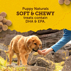 Zuke's Puppy Naturals Salmon Recipe Puppy Dog Treats, 5-oz pouch