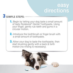 Nylabone Advanced Oral Care Dog Dental Kit Original Flavor