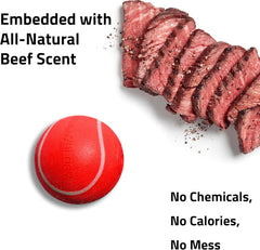 Playology Squeaky Chew Ball for Dogs | Engaging All-Natural Beef Scented Toy for Medium Dogs up to 50lbs | Squeak, Fetch, and Play