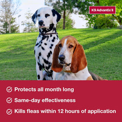 K9 Advantix II Dog Vet-Recommended Flea, Tick & Mosquito Treatment & Prevention | 1-Mo Supply