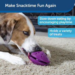 PetSafe Busy Buddy Twist 'n Treat Dispensing Dog Toy