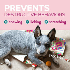 TropiClean No Chew Spray for Puppies, Better Than Bitter Apple Spray, Safe & Natural Chew + Lick Deterrent, Protect Home 8 oz