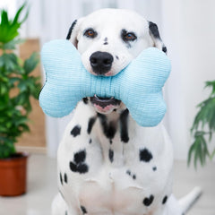 Playology Plush Squeaky Bone , All Natural Peanut Butter Scented Plush Dog Toy
