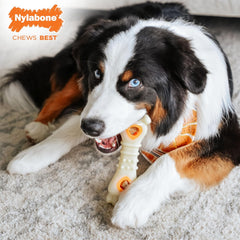 Nylabone Pop-in Treat-Toy Refill Chews, All-Natural Dog Treats for Treat Dispensing Toys, Chicken Flavor, 90 Count