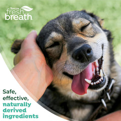 TropiClean Fresh Breath & Tartar Control Total Care System for Large Dogs
