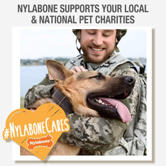 Nylabone Durable Dental Dinosaur Dog Chew