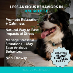 Pet Honesty Natural Hemp Calming Chews for Dogs - Dog Anxiety Relief - Calming Aid Supplement with Valerian Root, Chamomile, + Magnesium - Stress, Separation & Thunder Support - (Chicken, 90 Count)