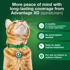 Advantage XD Cat Flea Prevention & Treatment For Cats | 4-Topical Doses, 8-Months of Protection Per Dose