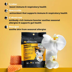 Pet Honesty Cat Immune Support Lysine - Cat Allergy Relief - Sneezing, Runny Nose, Watery Eyes - Cat Supplements & Vitamins with Omega 3s, L-Lysine, Antioxidants, Colostrum - Chicken (30 Day Supply)