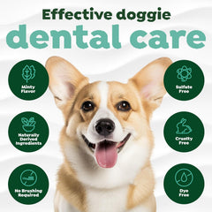 TropiClean Fresh Breath No Brush Total Care Kit | Dog Dental Hygiene|