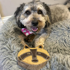 SPOT Dura-Fused Chunkies All Natural Leather and Felt Dog Toy - No Squeak, No Fluff, Durable, Extra Thick Dog Chew Toy for Aggressive Chewers, Great for Adult Dogs and Teething Puppies