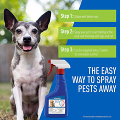 ADAMS Flea & Tick Spray 16 oz