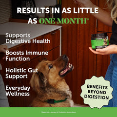 Pet Honesty Probiotics for Dogs, Dog Probiotics for Digestion Support, Digestive Enzymes Promotes Gut Health & Prebiotics for Immunity Health & Itch Relief, (Pumpkin 90 ct)