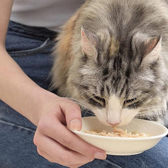 Inaba Chicken Broth, Shredded Chicken & Broth Side Dish/Topper for Cats with Vitamin E, 1.76 Ounce Pouch, 8 Pouches Total, Chicken Recipe