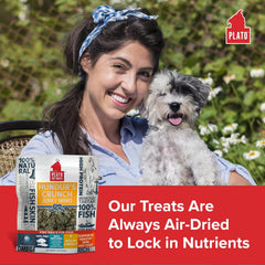 Plato Hundur's Crunch Jerky Minis