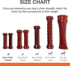 Nylabone Original & Textured Bone Power Chew Toy for Dogs, Durable & Tough Dog Toys for Aggressive Chewers, Basted Blast Bacon and Steak Flavor