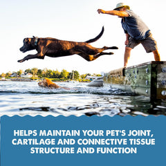 Grizzly Pet Products Joint Aid Liquid Hip and Joint Health Supplement Product for Dogs and Cats, 32 Ounce