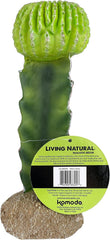Multi Pet 48593325: Komodo Cactus Plant Moon, 7.5In