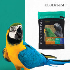 Roudybush Daily Maintenance Bird Food Small Pellets – 10 lb