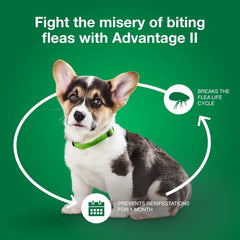 Advantage® II for Dogs (Topical)