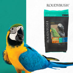 Roudybush Daily Maintenance Bird Food Small Pellets – 25 lb
