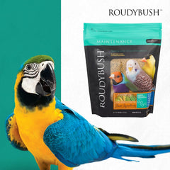 Roudybush Daily Maintenance Bird Food Nibbles – 2.75 lb