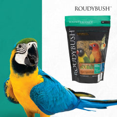 Roudybush Daily Maintenance Bird Food Mini Pellets – 22 oz