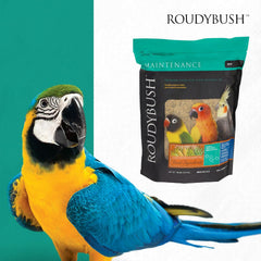 Roudybush Daily Maintenance Bird Food Mini Pellets – 10 lb