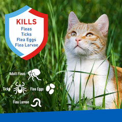ADAMS Flea &amp; Tick Spray for Cats – 16 fl oz