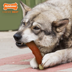 Nylabone Rib Bone Alternative Power Chew Toy for Dogs, Dog Toys for Aggressive Chewers, Beef Flavor