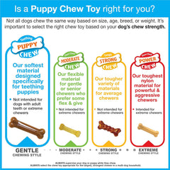 Nylabone Ring Bone Chew Toy for Puppies, Puppy Teething Toys, Puppy Enrichment Toys, Chicken Flavor, Medium Dogs