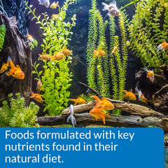 API GOLDFISH PELLETS Fish Food