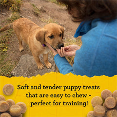 Zuke's Puppy Naturals Salmon Recipe Puppy Dog Treats, 5-oz pouch