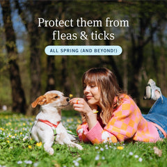 PetArmor Plus Flea and Tick Prevention for Dogs, Dog Flea and Tick Treatment, 3 Doses, Waterproof Topical, Fast Acting, Large Dogs (45-88 lbs)