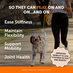Pet Honesty Hip & Joint Health - Glucosamine for Dogs Soft Chews, Joint Supplement for Dogs with Glucosamine Chondroitin, MSM, Turmeric, Anti Inflammatory, Support + Mobility (Chicken 90ct)