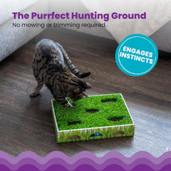 Petstages Catstages Grass Patch Hunting Box Interactive Bat & Swat Game for Indoor Cats, 3 Jingle Balls Included, Green