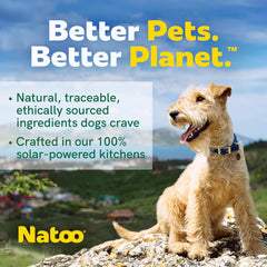 NATOO Dog Food Topper for Picky Eaters & Dog Treat (Salmon with Brown Rice), Dog Toppers for Dry Food, Wet Meal Toppers for Dogs & Puppies, Limited Ingredient Dog Food, 3 oz (Case of 20)