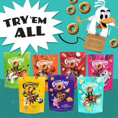 Fromm Crunchy Os Blueberry Blasts Dog Treats - Premium Crunchy Dog Treats - Chicken Recipe