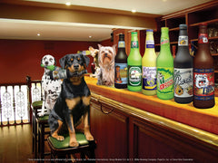 – Heinie Sniff'n Beer Bottle - Dog Toy - 100% Vinyl. Made Durable & Strong. Novelty Play Toy. 14 Bottles to Choose from and it Floats